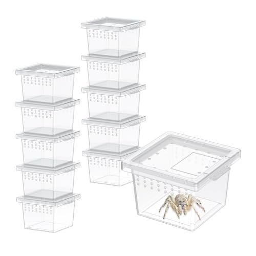 Pawfly 10 Pcs Mini Spider Terrarium Breeding Box
