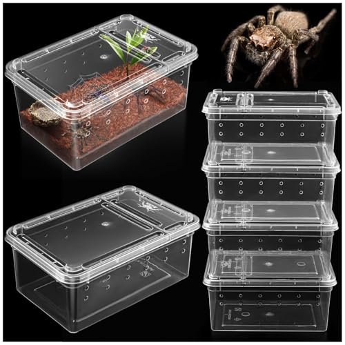 Small Jumping Spider Enclosure - 6 Pack Transparent...