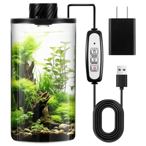 Maxdot Glass Plant Terrarium Kit with Light for Succulents