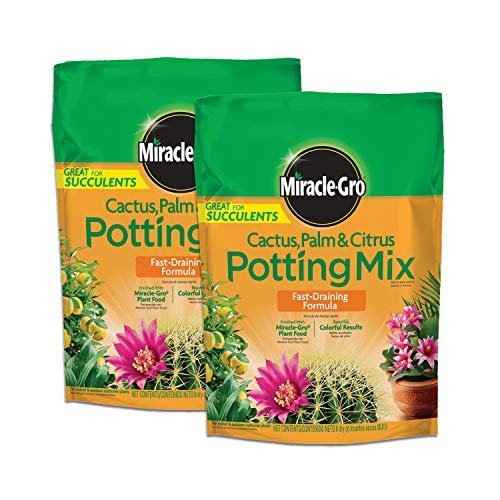 Miracle-Gro Cactus, Palm and Citrus Potting Mix, 8 qt.,...