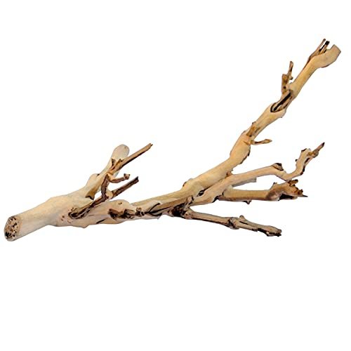 Exo Terra Forest Branch Small – Natural Wood Terrarium Decor