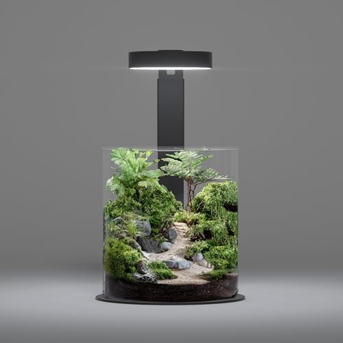 LANDEN Miniature Terrarium Glass Jar Kit – DIY Landscape Set