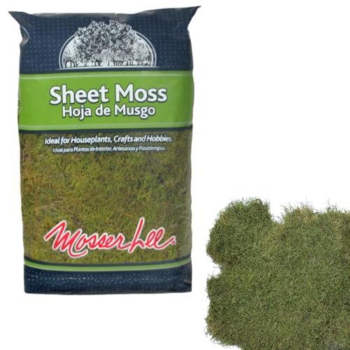 Mosser Lee ML0480 Natural Green Sheet Moss for Terrariums