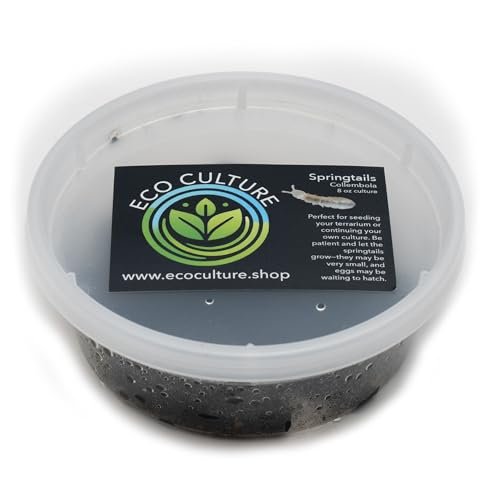 Eco Culture Live Springtails, 8 oz Charcoal Terrarium...