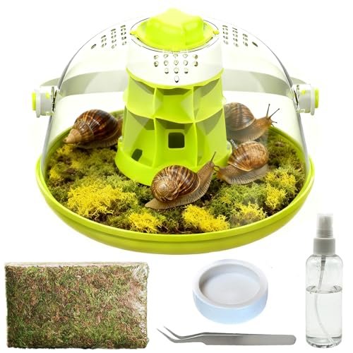 Snail Terrarium Kit Insect Enclosure Bug Terrarium...