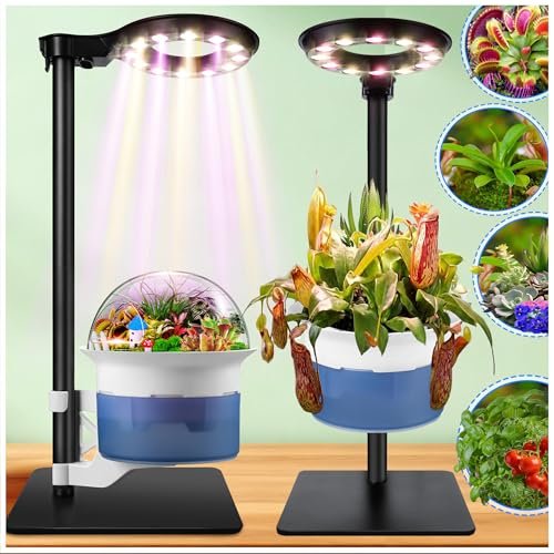Large Plant Venus Fly Trap Terrarium Kit with Grow Light