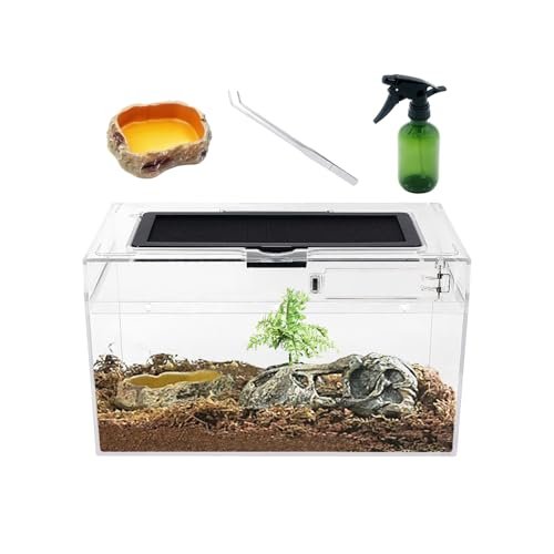 Mini Reptile Terrarium Set,12