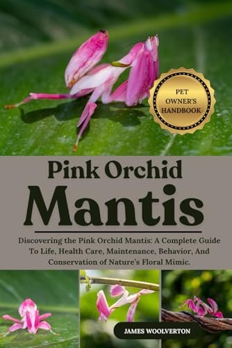 PINK ORCHID MANTIS: Discovering the Pink Orchid Mantis Care...