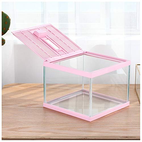 crapelles Reptile Tank Color Pink Spider Terrarium Insect...