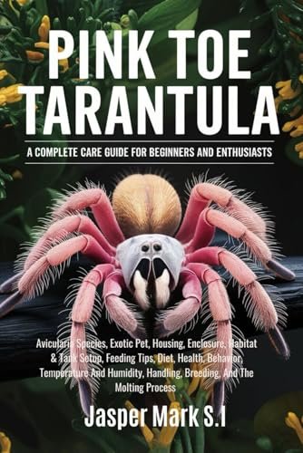 PINK TOE TARANTULA: A COMPLETE CARE GUIDE FOR BEGINNERS