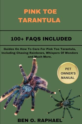 PINK TOE TARANTULA: Guides On How To Care For Them