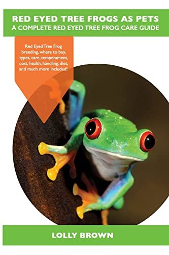 Red Eyed Tree Frogs as Pets: Red Eyed Tree Frog