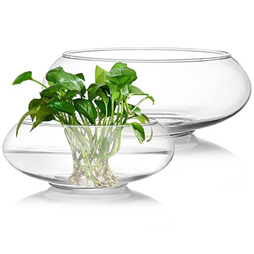 ZENFUN 2 Pack Glass Vase Bowl, 6