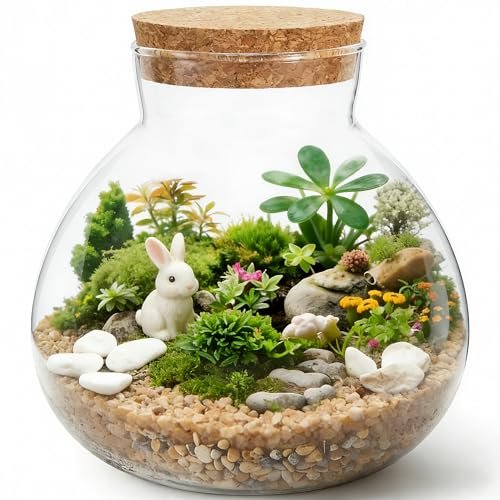NUOBESTY Glass Terrarium Jar with Cork Lid, DIY Miniature...