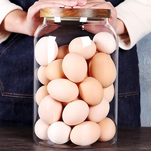 SAIOOL Egg Jar,kitchen canister， 1 Gallon Large Glass...