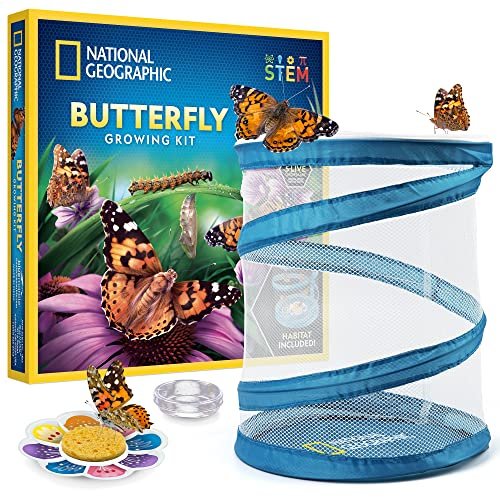 National Geographic Butterfly Growing Kit - Butterfly...