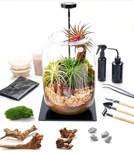 Terrarium Kit with Grow Light – 24-Piece DIY Glass Set