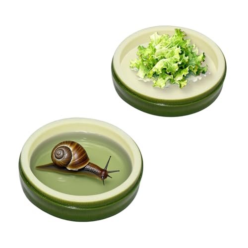 2 Pack Snail Water and Food Bowl，atural Design Terrarium...