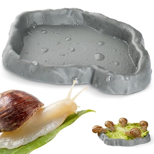 Addveyra Snail Food and Water Bowl Terrarium Feeding Dish