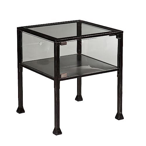 SEI Furniture Terrarium Display End Table, Black/Silver...