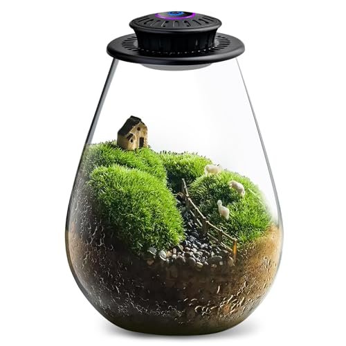 Xyingshine Glass Plant Terrarium with LED Grow Light and...