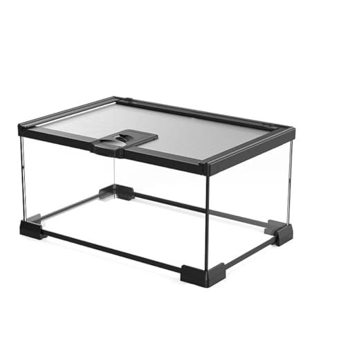 AWXZOM Mini Reptile Glass Terrarium Tank, cage (12x8x6inch)
