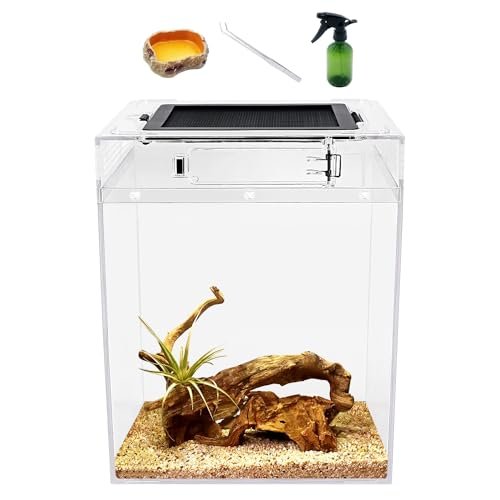 Reptileg Growth Tall Terrarium Set (PC), 8''*8''*11'' with...