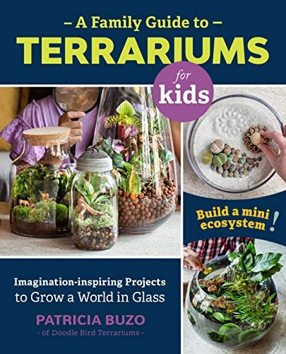 Family Guide to Terrariums for Kids: Imagination-inspiring...