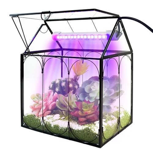 Plant Terrarium Kit with Grow Light, Rifny Large Glass Jar