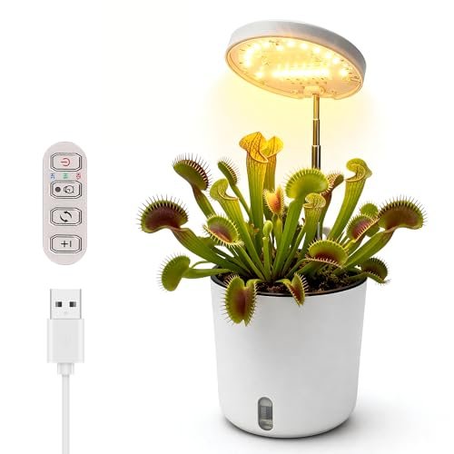 Venus Fly Trap Terrarium Pot with LED Grow Light Kit