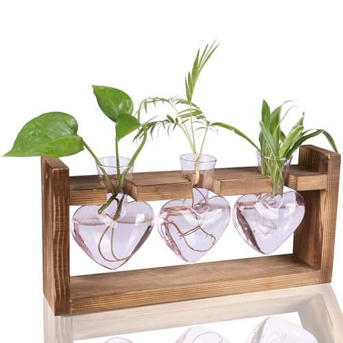 Kingbuy 3-Heart Plant Terrarium Kit - Stained Glass...