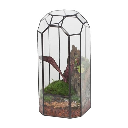 NCYP Glass Geometric Plant Terrarium with Door for...