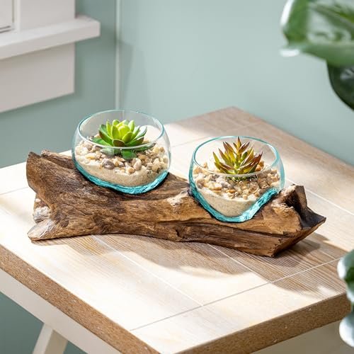 Cape Craftsmen Set of 2 Terrariums | Glass on Driftwood